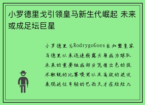 小罗德里戈引领皇马新生代崛起 未来或成足坛巨星